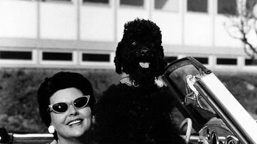 Aenne Burda im Cabrio mit Pudel Blacky vor dem Verlagsgebäude, 1954.