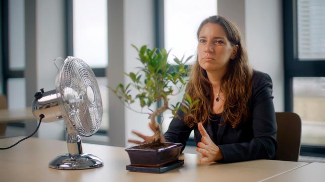 Bild: SWR Anhand eines Bonsaibaums und eines Ventilators lässt sich (laut Psychologin Isabella Helmreich) gut demonstrieren, wie unterschiedlich Menschen auf Herausforderungen reagieren.