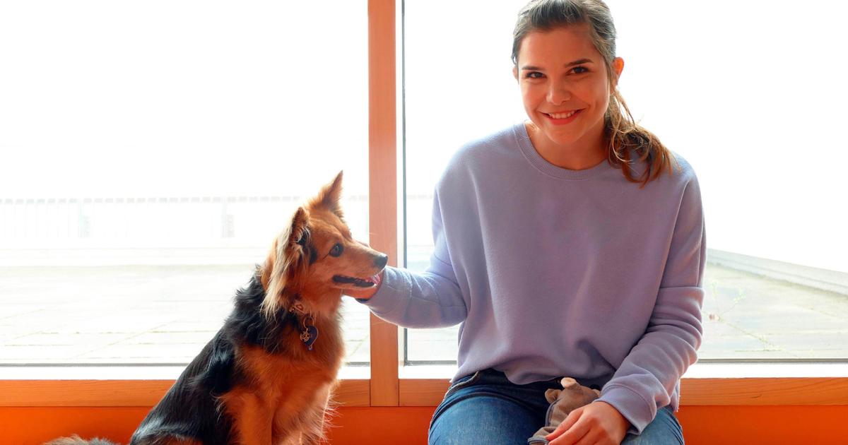 Anna Und Die Wilden Tiere Hunde