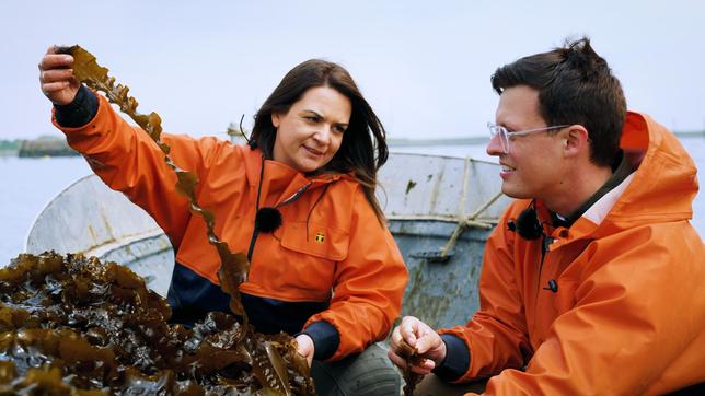 Auf der Suche nach alternativen Proteinquellen begibt sich Jacob zu einer niederländischen Algenfarm. Ob das „grüne Gold“ das nachhaltige Lebensmittel der Zukunft ist? Die Biologin Julia Wald gibt Jacob eine erntefrische Kostprobe.