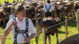Bergbauer Lorenz Huber (Max Herbrechter) fürchtet um den Hof seiner Familie.