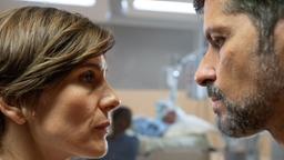 Claire Lannoy (Christina Hecke, li.) und Kommissar Dupin (Pasquale Aleardi, re.) bangen um den Schwerverletzten (Jan Georg Schütte, hinten).