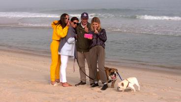 Bild: WDR Die Bickleys am Strand in den Hamptons.
