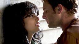 Die schöne Rose (Morena Baccarin) verführt Matthew (Josh Lucas) zu einer verhängnisvollen Affäre.