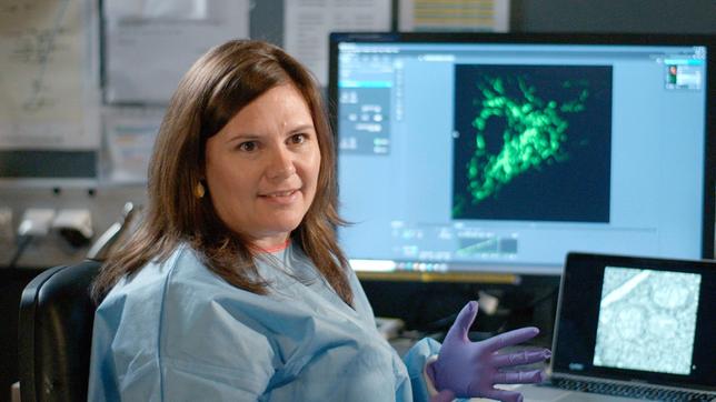 Dr. Angelika Rambold zeigt in einer lebenden Zelle, wie Mitochondrien funktionieren.