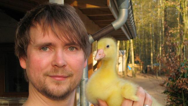 Ein stolzer Ziehvater und sein Schützling: Marco Heyse mit Gänseküken Martin.