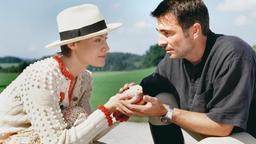 Es ist Liebe auf den ersten Blick: Malerin Ilona (Marion Mitterhammer) trifft Urlauber Florian (Stefan Gubser) auf der Straße. Die beiden versorgen ein Küken, das verloren gegangen ist.