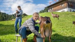 Feriengast Almuth (Johanna Klante) lernt von Marie Huber (Catherine Bode) das Ziegenmelken.