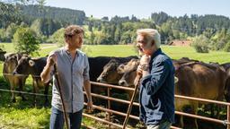 Georg (Thomas Unger, li.) hat mit seinem Onkel Karl (Christoph M. Ohrt, r.e) den Hof auf Viehhaltung und Milchwirtschaft umgestellt.