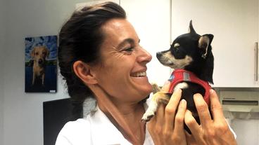 Bild: NDR In der Sprechstunde von Dr. Yasmin Diepenbruck wartet die ausgebüxte Chihuahua-Hündin Maja. Vier Wochen war sie insgesamt weg.
