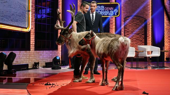 Bild: NDR/MORRIS MAC MATZEN Louis Küppers vom „Archpark“ mit Rentiere und Kai Pflaume