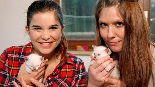 Bild: BR Marinas (rechts) neue kleine Kater haben noch keine Namen.