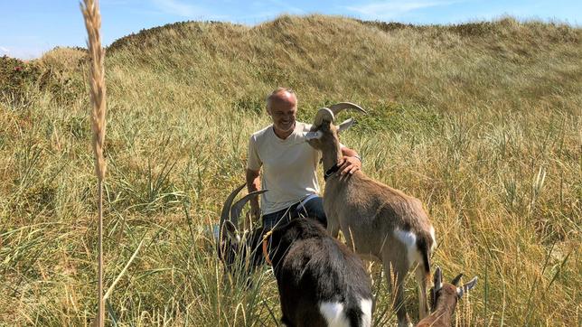Bild: NDR Matthias Jacobsen bietet auf Sylt geführte Wanderungen mit seinen Ziegen durch die Dünen an.