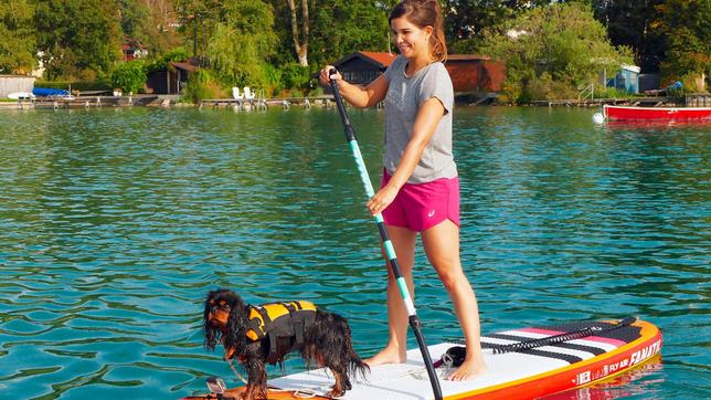 Bild: BR Mit Cavalier King Charles Spaniels kann man prima SUP Board fahren. Weiteres Bildmaterial finden Sie unter www.br-foto.de.