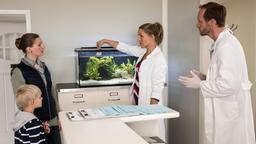 Nora Kaminski (Tanja Wedhorn) und Dr. Richard Freese (Stephan Kampwirth) bekommen Probleme mit Frau Wiek  (Anja Haverland, li.). Daraufhin entsorgt Nora das Handy der verärgerten Mutter im Aquarium