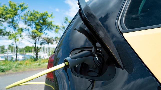 Bild: Radio Bremen/Christof Kette Rein elektrische Fahrzeuge haben in Deutschland zurzeit einen Marktanteil von 3,7 Prozent. Wird sich dies ändern?