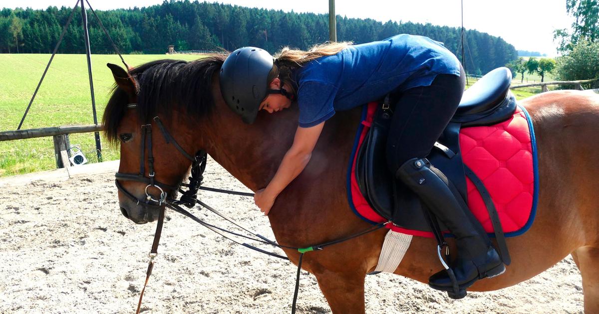 Anna und die Haustiere Paula, Anna und die wilden Tiere ARD Das Erste