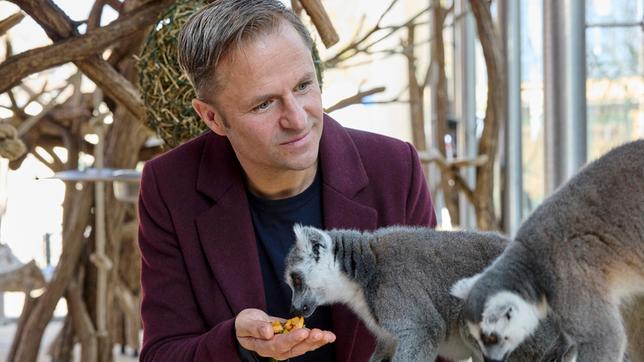 Sonderermittler Haller (Philipp Hochmair) bei den Kattas im Tiergarten Schönbrunn.
