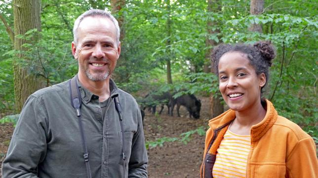 Wildtierbeauftragter Derk zeigt Pia die Stadtwildschweine von Berlin. Die klugen Tiere landen auch in den grünen Stadtparks. Weiteres Bildmaterial finden Sie unter www.br-foto.de