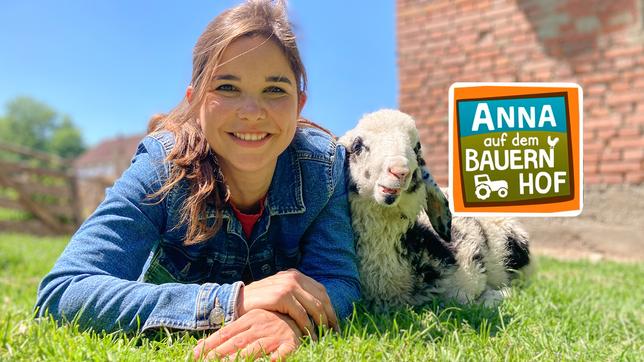 Bild: BR/Text und Bild Medienproduktion GmbH & Co. KG Anna auf dem Bauernhof