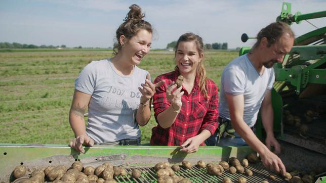 Auf dem Kartoffelroder, der Kartoffelerntemaschine, sortieren Anna (Mitte) und Andrea faule Kartoffeln und Steine aus.