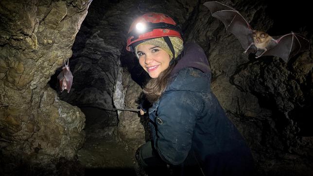 Anna seilt sich in einer Höhle nahe Hohenburg ab, in der die Fledermäuse "Große Hufeisennasen" wohnen. Weiteres Bildmaterial finden Sie unter www.br-foto.de.