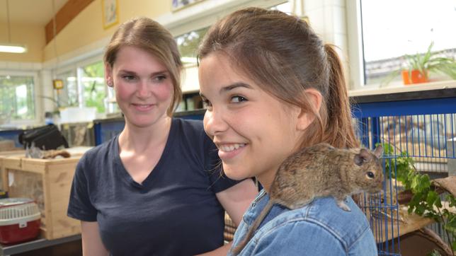 Bild: BR/Text und Bild Medienproduktion Anna und Degumännchen Rudi
