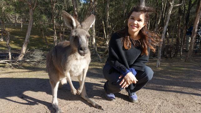 Bild: BR/Text und Bild Medienproduktion GmbH & Co KG Anna und die wilden Tiere Boxen mit dem Känguru 09.02.2019