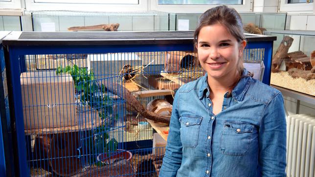 Bild: BR Degus brauchen viel Platz. In diesem Käfig - hier im Tierheim München - können höchstens drei Tiere leben.