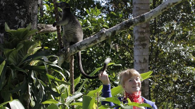Paula und die wilden Tiere Was macht das Känguru im Baum? 15.10.2016 Paula hält den Schwanz von einem Baumkänguru