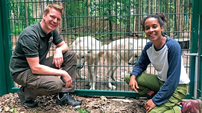 Bild: BR/Text und Bild Medienproduktion/Kathrin Gutzeit Pia und Frank Faß, Leiter des Wolfcenters Dörverden, vor dem Wolfsgehege. Frank hat die Geschwisterwölfe Cosmo und Luna von Hand aufgezogen. Weiteres Bildmaterial finden Sie unter www.br-foto.de.