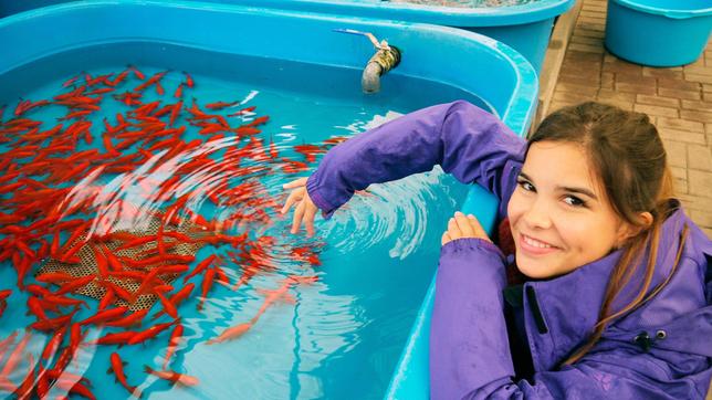 Bild: BR Tierreporterin Anna besucht eine professionelle Goldfischzucht.