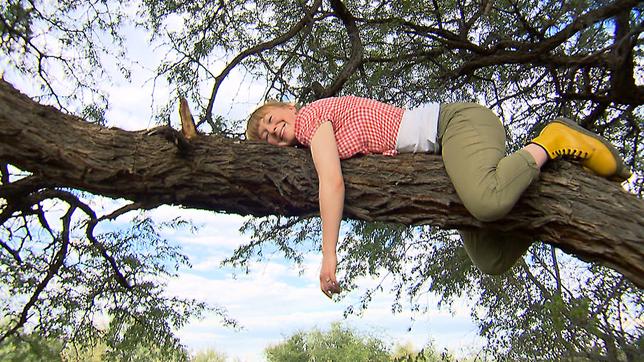 Paula und die wilden Tiere Was macht der Leopard im Baum? Paula schläft auf einem dicken Ast