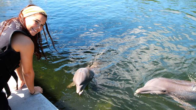 Bild: BR/Text und Bild Medienproduktion Anna und die wilden Tiere Wie pupst der Delfin?