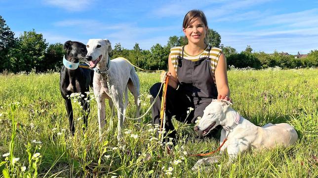 Bild: BR Da Galgos Jagdhunde sind, sollte man sie in Gegenden, wo es Wildtiere gibt, an der Leine lassen. Weiteres Bildmaterial finden Sie unter www.br-foto.de.