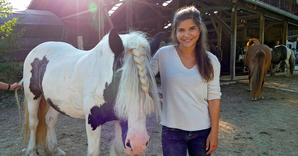 Anna Und Die Haustiere Pferd Anna Und Die Haustiere Pferd