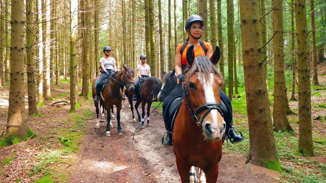 Bild: BR Im Wald muss die Reitergruppe besonders aufmerksam sein. Tiere oder Geräusche könnten die Pferde erschrecken.