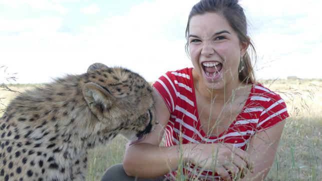 Anna und die wilden Tiere So jagt der Gepard 09.12.2017