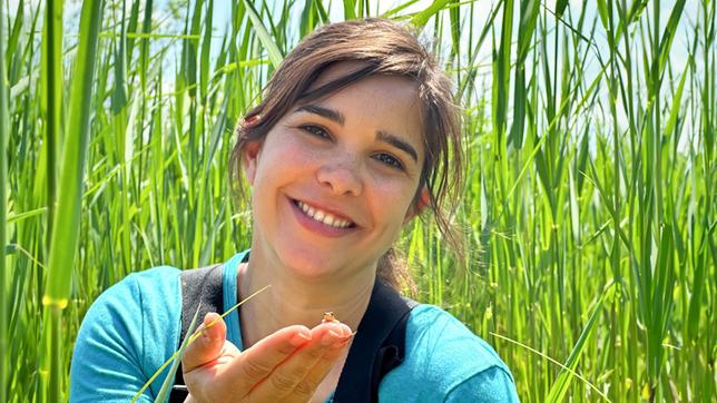Bild: BR Das ist einer von hundert kleinen Moorfröschen, die von Anna im Moor wieder freigelassen werden. (Im Bild: Anna). Weiteres Bildmaterial finden Sie unter www.br-foto.de.