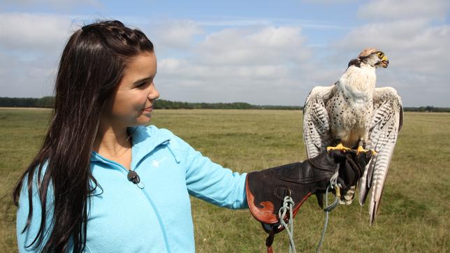 Bild: BR/Text und Bild Medienproduktion GmbH & Co.KG Anna und die wilden Tiere Die Falken des Falkners: Anna hält einen Falken