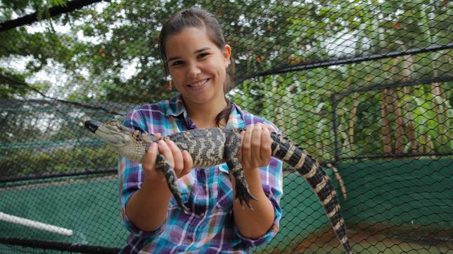 Anna und die wilden Tiere Die Zähne des Alligators