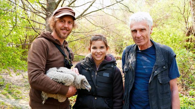 Bild: BR Dieser junge Bartgeier ist zwei Monate alt und wird in gut 4 Wochen ausgewildert.