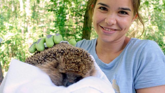 Anna und die wilden Tiere Anna, Paula, Pia und die Tiere ARD Das