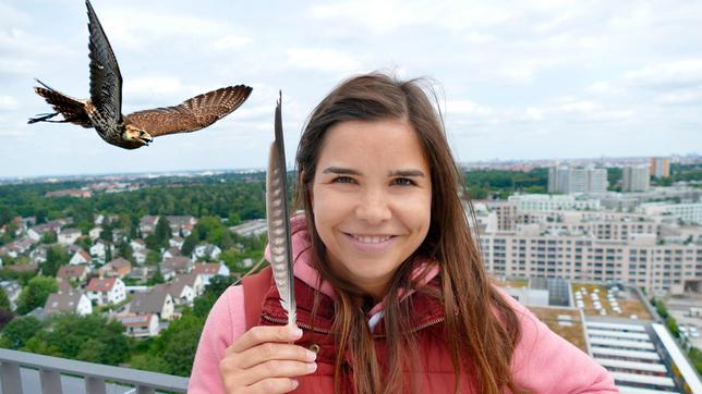 Bild: BR Städte sind vielfältige Lebensräume. Anna erfährt, dass mitten in München Wanderfalken leben.