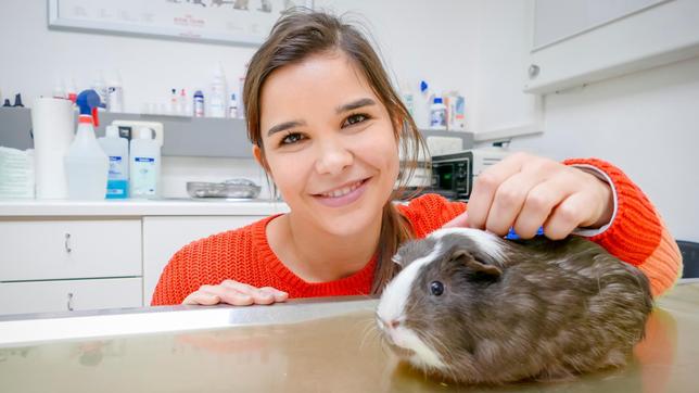 Meerschweinchen Gandalf hat einen verstimmten Magen. 