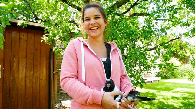Bild: BR Von Michi lernt Anna, wie man eine Taube am besten in der Hand hält. Tauben sind keine Kuscheltiere. Vorsichtig anfassen kann man sie aber trotzdem. Weiteres Bildmaterial finden Sie unter www.br-foto.de.