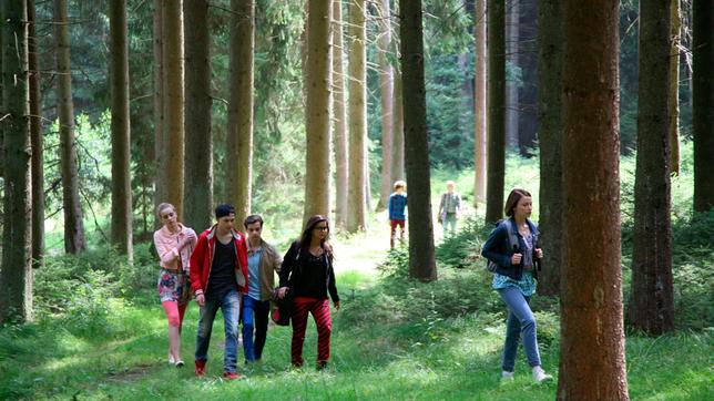 Bild: BR/Tresor TV Produktions GmbH/Claudia Hofmair Im Wald: Pia (Laila Schuster) ist voller Hoffnung, dass die Zeitkuppel zerstört ist und bemerkt dabei nicht, dass sie mit Noah (Simon Eckert) den Anschluss der Gruppe verliert. Von links, vorne: Jennifer (Amelie Arndt), Tobias (Patrick Katzer), Raphael (Niklas Nißl), Anna (Annika Preil) und Yasemin (Devrim Lingnau). Weiteres Bildmaterial finden Sie unter www.br-foto.de.