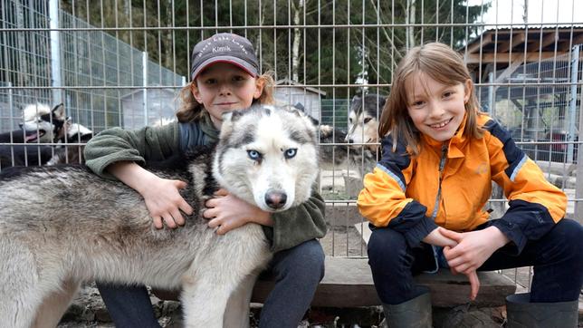 Kimik (10) lebt mit seiner Familie und 28 Sibirischen Huskys im Erzgebirge. Am liebsten ist er mit dem Hundeschlitten unterwegs und lässt sich von seinen Huskys durch die Wälder ziehen. Leonie (10) spielt Akkordeon und wohnt auch im Erzgebirge. Jetzt tauschen die beiden für einige Wochen ihr Hobby. Wird Kimik, der eigentlich auf Hardrock steht, mit dem Akkordeon etwas anfangen können? Und kann Leonie die extrem lauffreudigen Schlittenhunde in den Griff bekommen? Einschalten. Staunen. Selber machen!