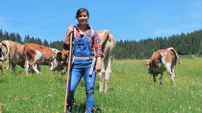 Anna verbringt einen Sommer auf der Alm von Sennerin Kati und hilft ihr bei der Arbeit. Die Saison beginnt mit dem Almauftrieb der Kühe.