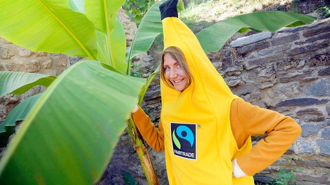 Bild: WDR Jana beschäftigt sich heute mit dem Thema "Fair Trade - Was bedeutet gerechter Handel?! Sie steht in einem Bananenkostüm neben einer Bananenpflanze.
